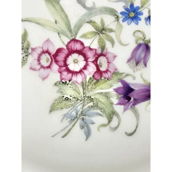 Hutschenreuther & Royal York “Bridal Bouquet (Madeleine)” 6 Dinner Plates 9 5/8” Dinnerware